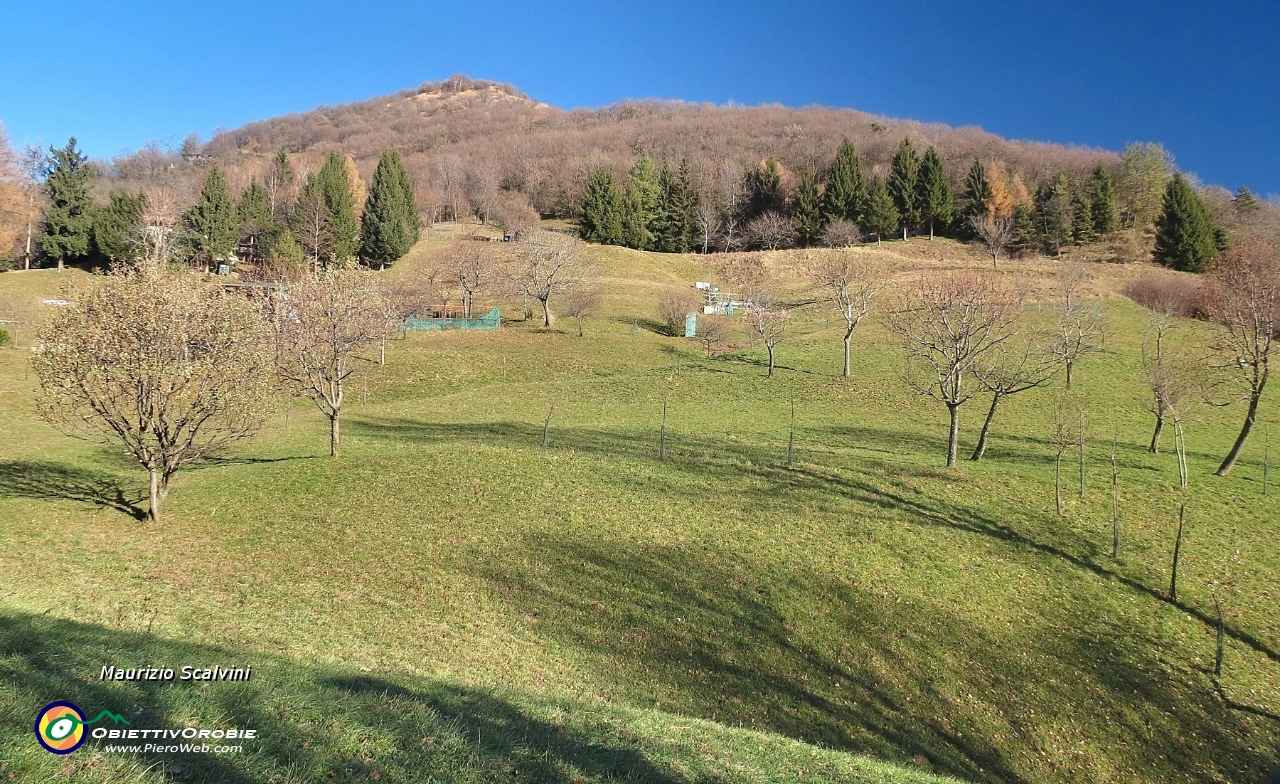 24 I grandi prati di Al Monte....JPG